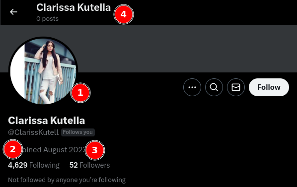 Typical profile of a suspected bot with marked metrics of interest